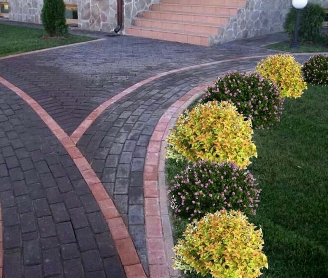 Узкая Клумба Вдоль Дорожки